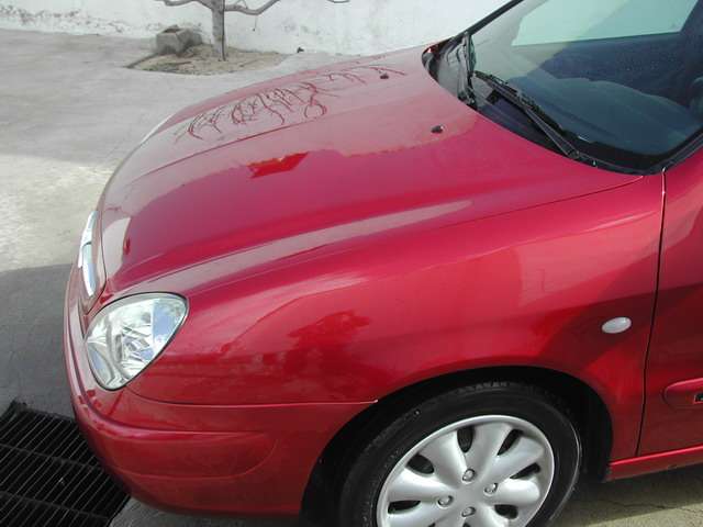 Fotografía de Lavado y encerado Citroën Xsara: lavado y encerado citroen xsara 4