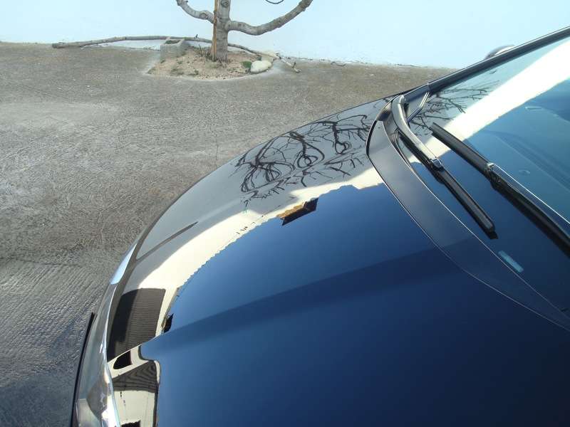 Fotografía de Pulido completo Honda Civic: pulido honda civic 19