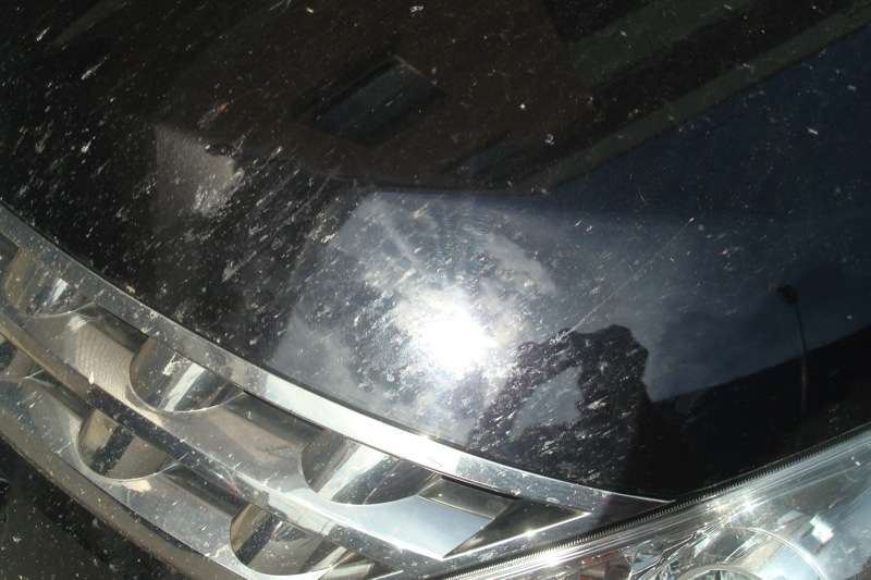 Fotografía de Puliendo un Nissan Murano: pulido nissan murano 2