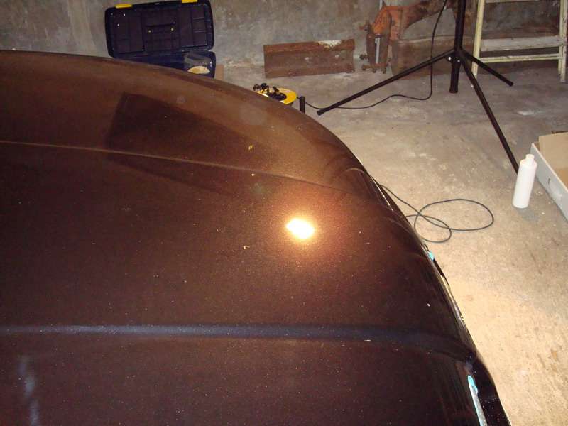 Fotografía de Pulido y abrillantando de SEAT León: pulido seat leon 15 1