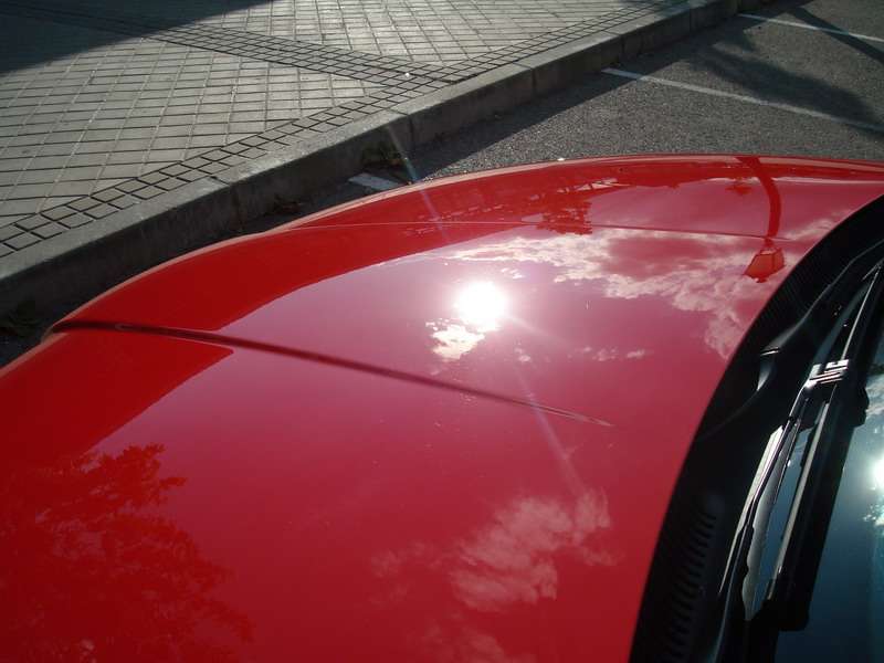 Fotografía de Pulido y encerado SEAT León: pulido seat leon 15