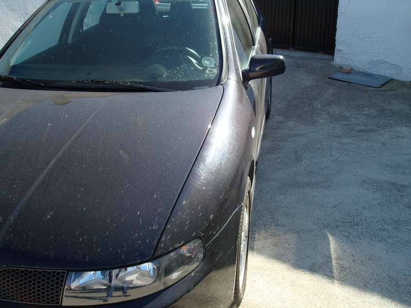 Fotografía de Pulido y abrillantando de SEAT León: pulido seat leon 2 1