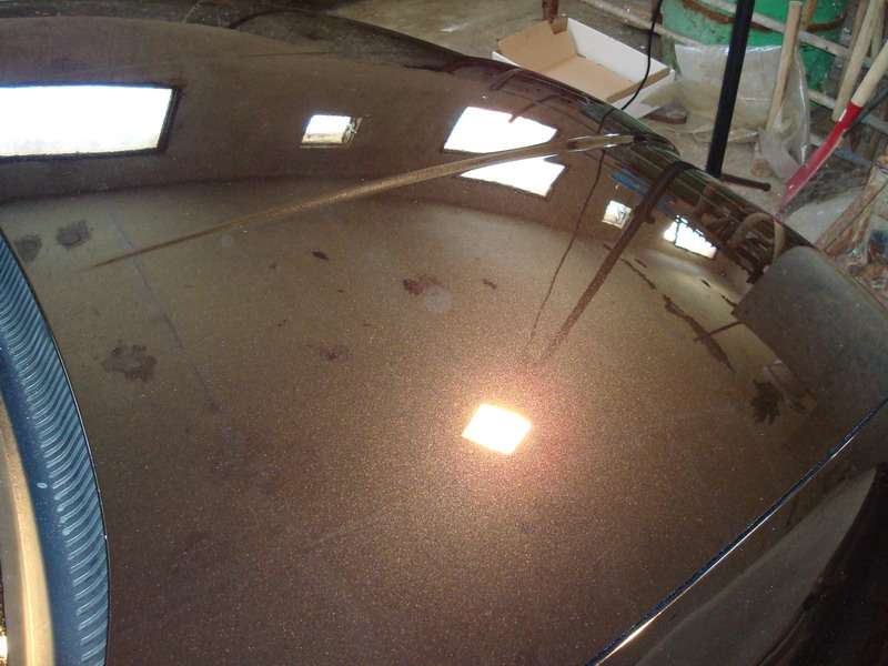 Fotografía de Pulido y abrillantando de SEAT León: pulido seat leon 21 1