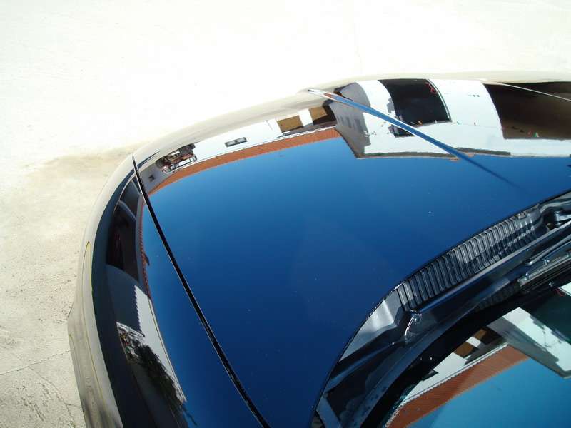 Fotografía de Pulido y abrillantando de SEAT León: pulido seat leon 26 1