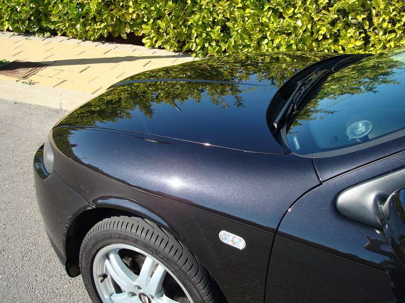 Fotografía de Pulido y abrillantando de SEAT León: pulido seat leon 30 1