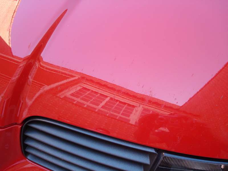 Fotografía de Pulido y encerado SEAT León: pulido seat leon 4
