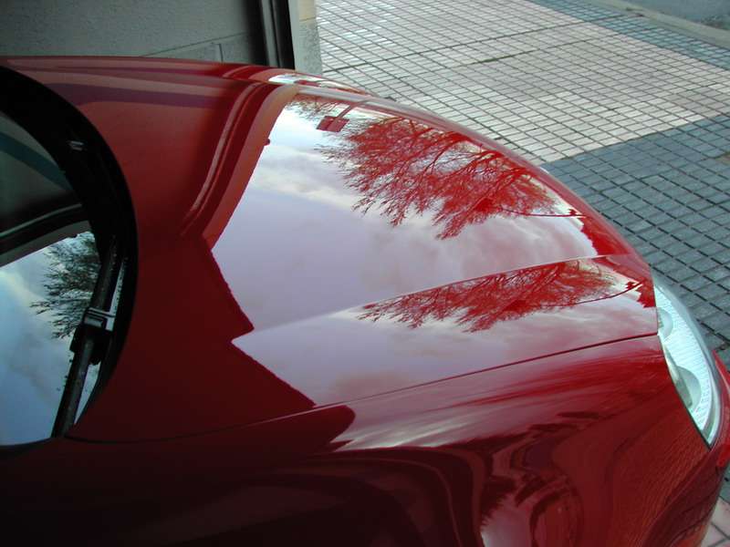Fotografía de Puliendo y sellando un VW Golf IV: pulido vw golf iv 21